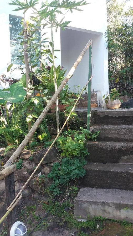 Morada Dos Elfos Villa Vale do Capao Eksteriør bilde