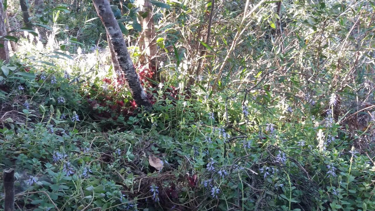 Morada Dos Elfos Villa Vale do Capao Eksteriør bilde